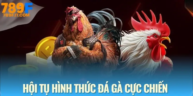 Đá Gà 789F Tham khảo các hình thức đá gà được yêu thích nhất