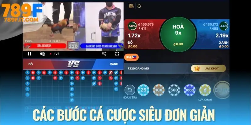 Đá Gà 789F Từng bước đặt cược đá gà 789F thông minh và theo dõi kết quả