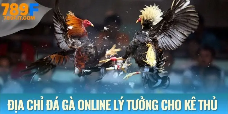Đá Gà 789F Đá gà 789F - Địa chỉ lý tưởng cho kê thủ chuyên nghiệp