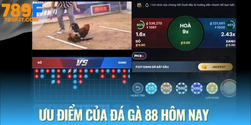 Đá Gà 88 – Đặt Cược Đỉnh Cao, Thưởng Cực Lớn 24/7 Đánh giá sảnh đá gà 88 từ nhà cái uy tín 789F